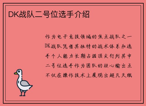 DK战队二号位选手介绍